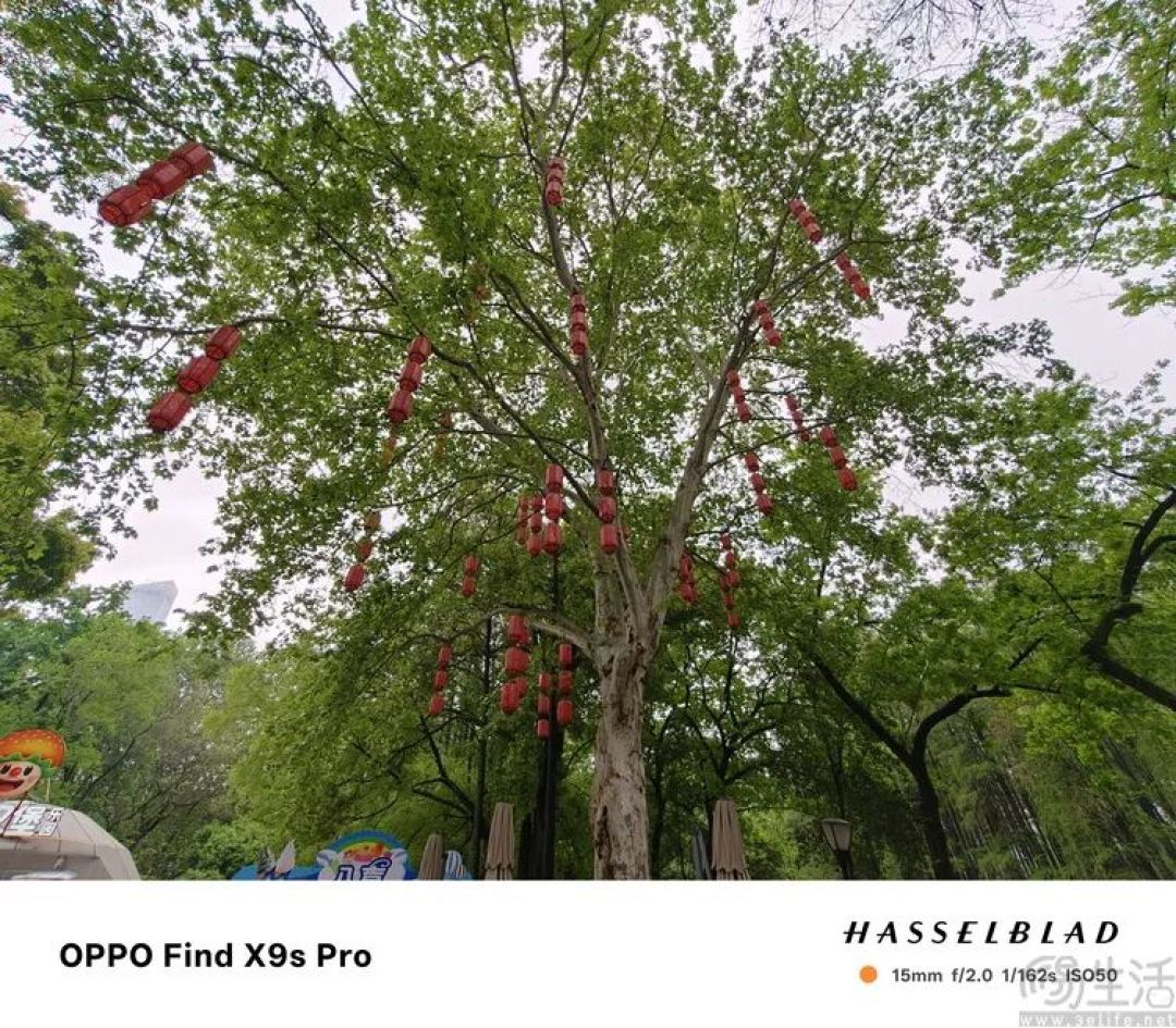 OPPO Find X9s Pro评测:更精致的哈苏小旗舰