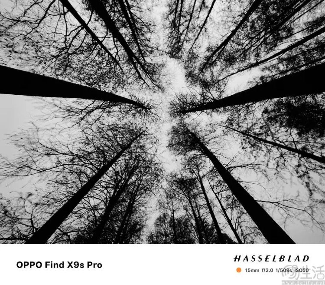 OPPO Find X9s Pro评测:更精致的哈苏小旗舰