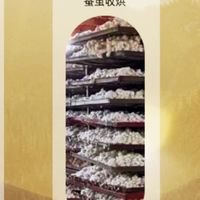 南方不易发霉的高品质蚕丝被怎么选？2026主流品牌对比测评