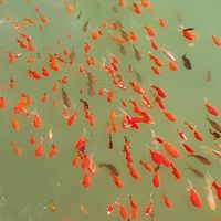 技嘉X870E主板深度评测 锐龙9000X3D绝配