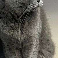 干皮乳状洗面奶推荐？适合夏天卸妆洁面二合一的洗面奶有哪些？