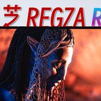 原色RGB+音画精调！东芝REGZA R700电视真实评测