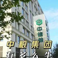 中粮集团：全球农粮供应链与中国粮食安全的守护者
