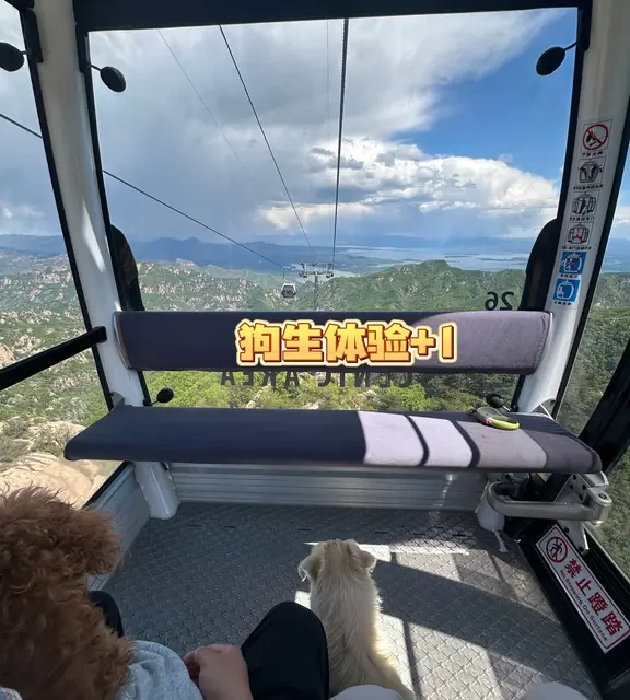 狗生体验+1 ｜这个4A景区允许狗狗做缆车