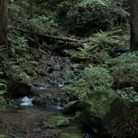熊野古道3天2晚精华路段行程&食宿（可直接抄