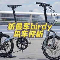 Birdy鸟车核心选购指南：车架设计、避震机制与改装建议