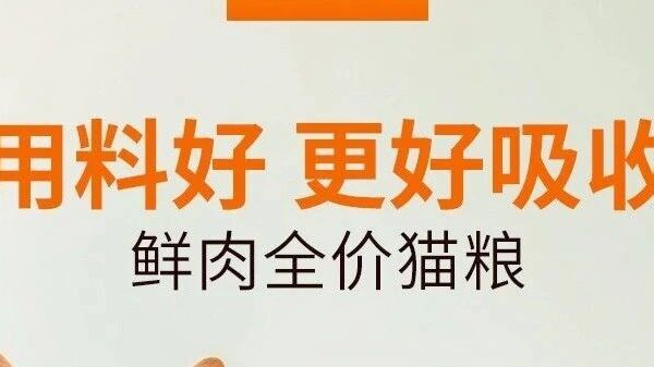 2026 年猫粮推荐：国产与进口优选，全龄段猫咪安心喂养指南