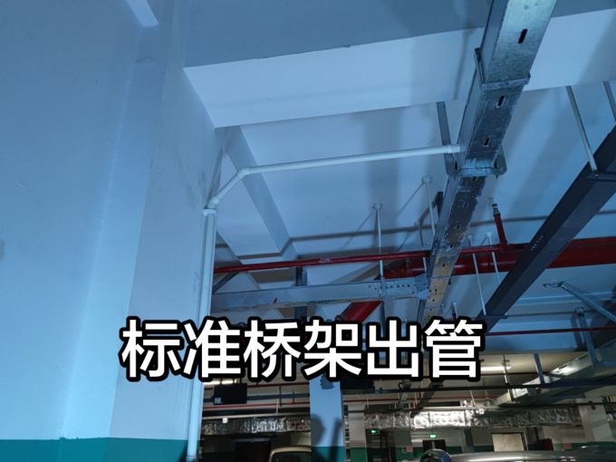 威仕工具钳子