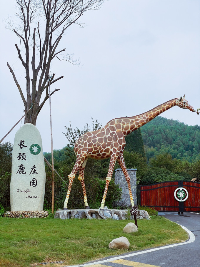 国内度假