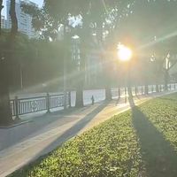 打算成为木林森会员不知道有什么福利？