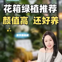 花箱绿植推荐指南：从顶配到劝退的全面评测