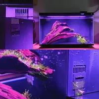 尼特利智能鱼缸，自制进水口拦网分享