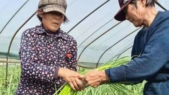 2026年5月河南多地蒜薹滞销，收购价跌破成本引全民助农