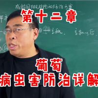 第十二章 成龄树葡萄园子病虫害防治讲解