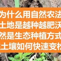 为什么用自然农法的土地是越种越肥沃