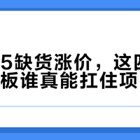 树莓派5缺货涨价，这四款替代开发板谁真能扛住项目压力？