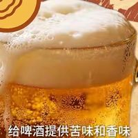 啤酒花浸膏，为何国产啤酒都爱添加，但出口时却用天然啤酒花