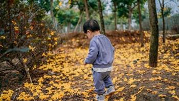 1岁半戒纸尿裤才是黄金期！医生4个笨方法3周娃自主如厕不用打骂