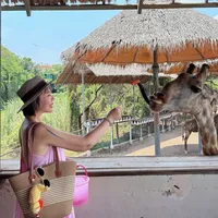 ᵕ̈曼谷Safari World野生动物园 懒人全攻略