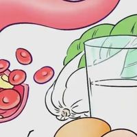 富硒中老年奶粉选购：适合中老年补硒三款优质a2乳铁蛋白奶粉推荐