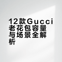 12款Gucci老花包容量&场景全解析