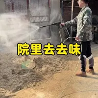 养狗去味产品对比：滴露与迪特评测
