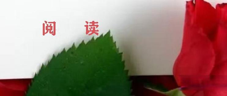 「作家」们在创作过程中,灵感枯竭时会如何自我调整?_文学诗歌_什么值得买