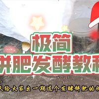 超级简单的饼肥发酵教程，有手就会。