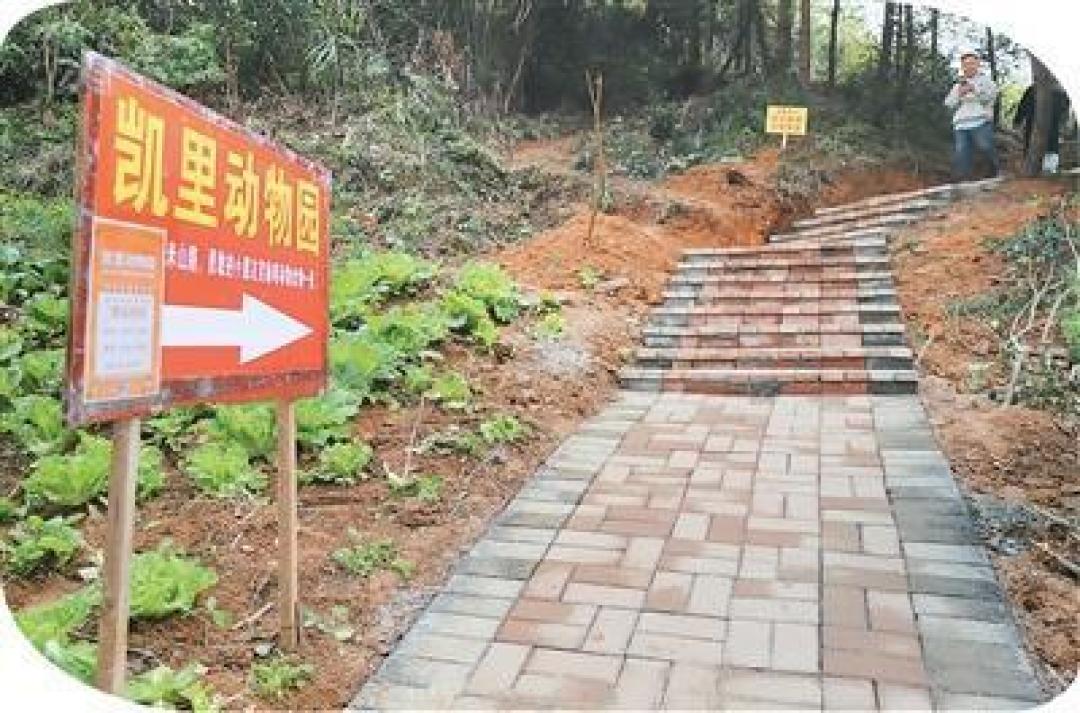 被流量遗忘的20元动物园,藏着中国动物园的生存悲喜剧