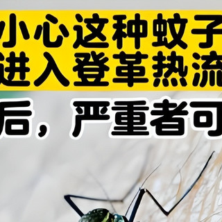 灭蚊子神器哪个最好用？希亦/志高等10款灭蚊灯测评出炉