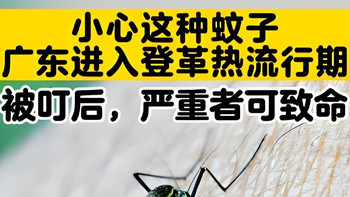 灭蚊子神器哪个最好用？希亦/志高等10款灭蚊灯测评出炉