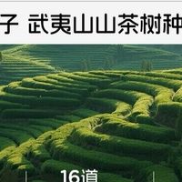 守护宝宝肌肤健康：青蛙王子荣获
