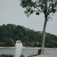 别卷了，来户外做个睡袋里的“懒人”吧