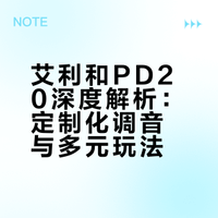 艾利和PD20深度解析：定制化调音与多元玩法