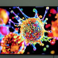 玲珑4芯RGB Mini LED光源+H7 Pro画质芯片 — 海信UX2026定义高端电视新视界