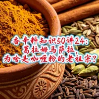 格拉姆玛萨拉：咖喱粉的起源与印度千年香料组解析