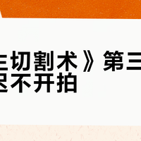 《人生切割术》第三季为何迟迟不开拍？高概念剧集的困局与坚持