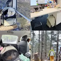 SmallCat宠物双肩包实测：轻量化设计与多场景适配分析