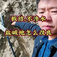 重度盐碱地不渗水、板结严重，绿银农场实测数据与改良方案