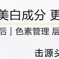 2026年成分党认证：好用国货美白精华深度解析