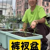 30升滑轮种植箱评测：自吸水设计与移动便利性分析