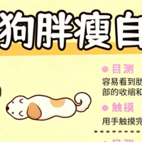 萨摩耶偏瘦怎么吃胖？萨摩耶狗粮哪个牌子好长肉一些？