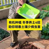 冬季菜园土壤消杀4法：灭卵杀菌防板结