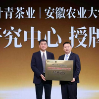 百大营养师联合推荐，竹叶青黄茶黄金叶解锁健康新选择