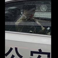 去漫展狂丢两万东西？！对谣言进行澄清！
