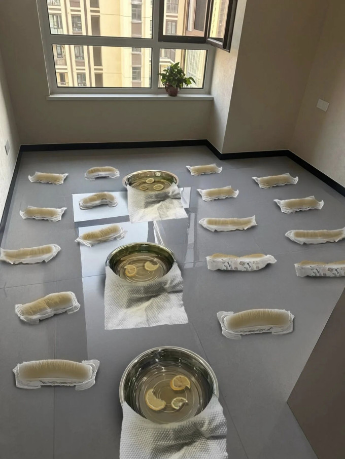 净化除味