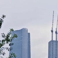 阳光倾泻下的宁静时光