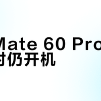 华为Mate 60 Pro落海一小时仍开机？网红实测引爆海外热议，官方防水标准遭质疑