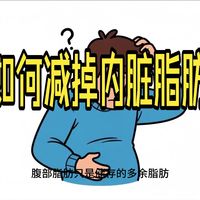 如何减掉内脏脂肪/减脂/减肥/心血管健康/运动生理