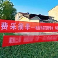 热点丨河南蒜薹白送没人要？为什么今年的蒜苔这么便宜？